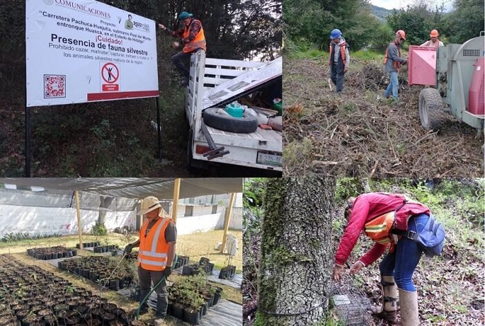 Construye SICT Carretera Real del Monte-Huasca Mediante Un Desarrollo Sostenible en Impacto Ambiental