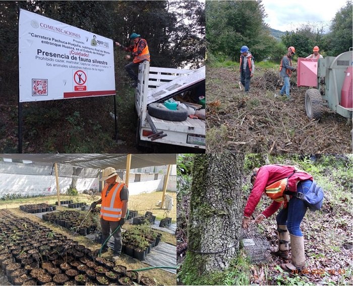 Construye SICT Carretera Real del Monte-Huasca Mediante Un Desarrollo Sostenible en Impacto Ambiental