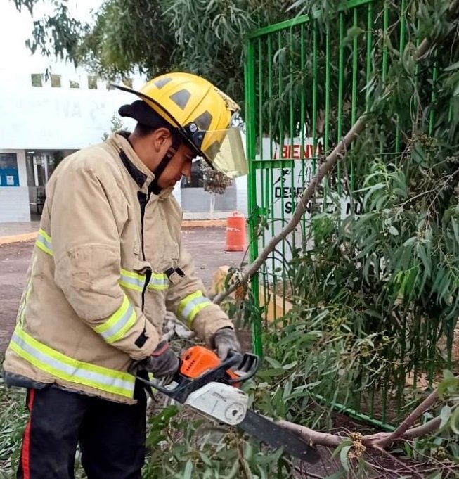 Bomberos de Tulancingo en Alerta Por Vientos Que Han Generado Caída de Árboles, Ramas y Cables
