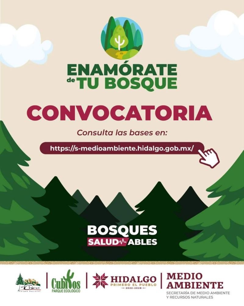 El Parque Nacional “El Chico” Invita a la Población a Participar en el Concurso “Enamórate de tu bosque”,