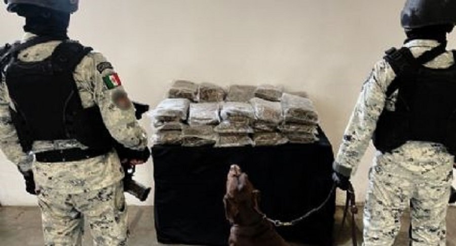 Asegura la Guardia Nacional 120 Paquetes de Mensajería con Droga  en Hidalgo y Once Entidades más