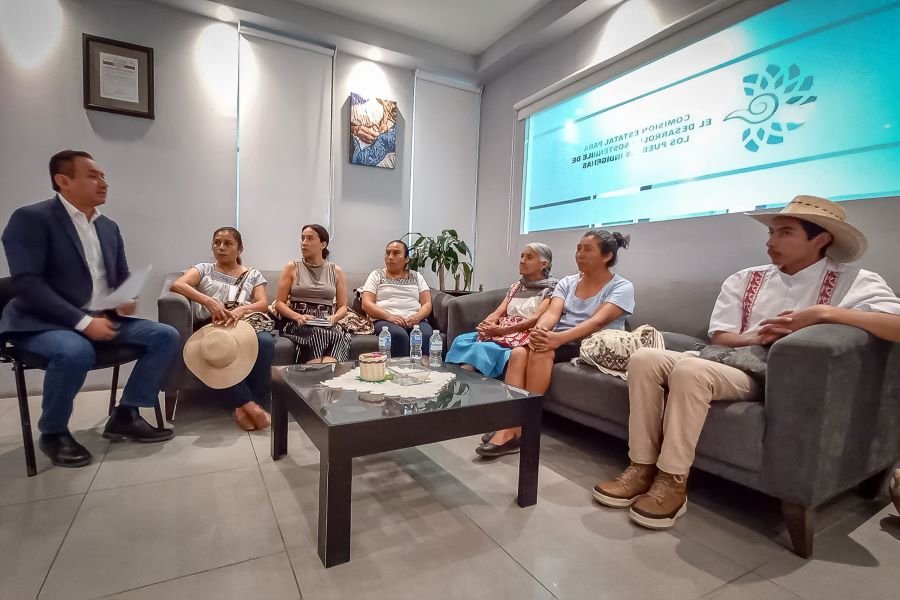 Busca Grupo Artesanal, Proteger Lenguaje e Iconografía de la Cultura Hñahñu