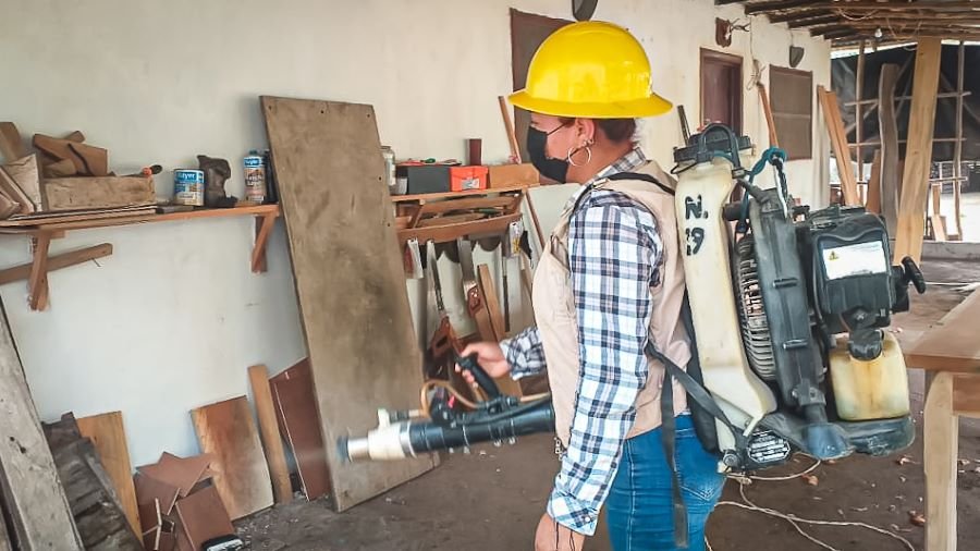 Impulsa SSH acciones para evitar enfermedades transmitidas por mosquitos