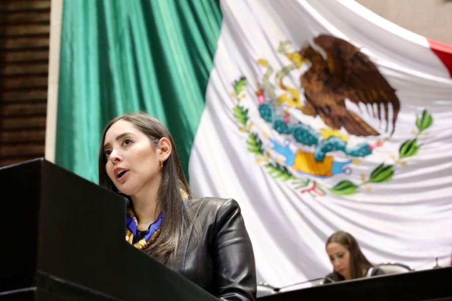 Necesario Que La Secretaría de Salud Resuelva Desabasto de Medicamentos Para Salud Mental: Diputada Fuensanta Guerrero