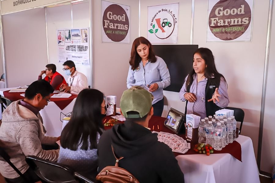 Atitalaquia Sede de la Feria de Empleo Regional