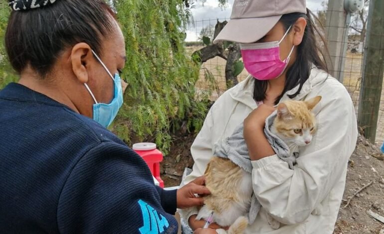 Difunde SSH Campaña Sobre Medidas Preventivas de Rabia Humana Por Fauna Silvestre
