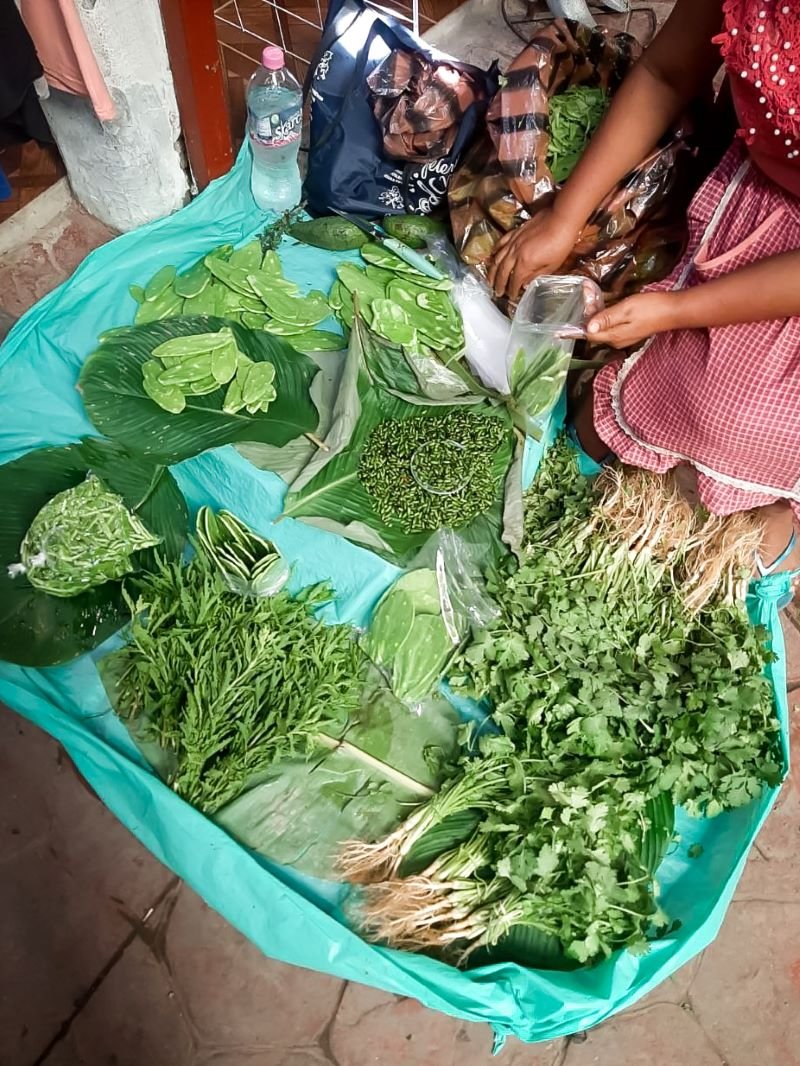 Difunde la SSH Bondades de la Dieta de la Milpa a Base de Maíz, Frijol, Chile,  Calabaza, Hortalizas, Frutas y Hierbas