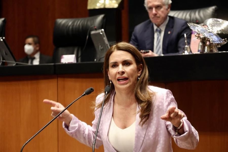 La Declaratoria 3 de 3 Va Por Los Menores Que Crecieron Sin Apoyo y Cuidado de Padres Ausentes: Carolina Viggiano