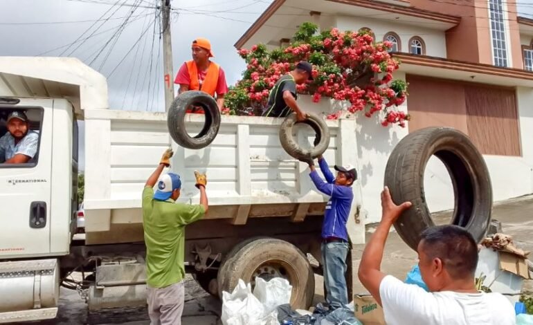 Medidas Para La Prevención del Dengue en Jurisdicciones Otomí-Tepehua, Huejutla, Jacala, Zimapán, Metztitlán y Molango