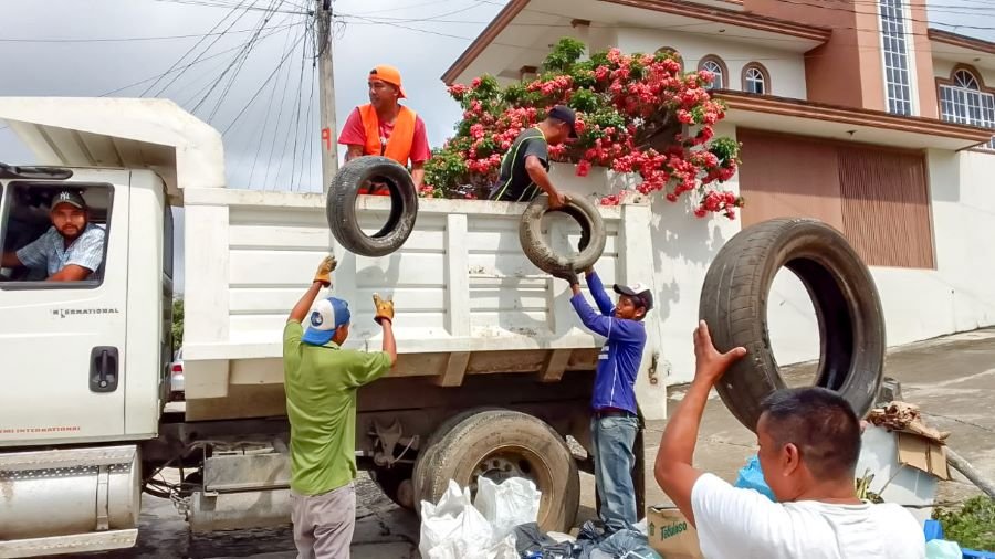 Medidas Para La Prevención del Dengue en Jurisdicciones Otomí-Tepehua, Huejutla, Jacala, Zimapán, Metztitlán y Molango
