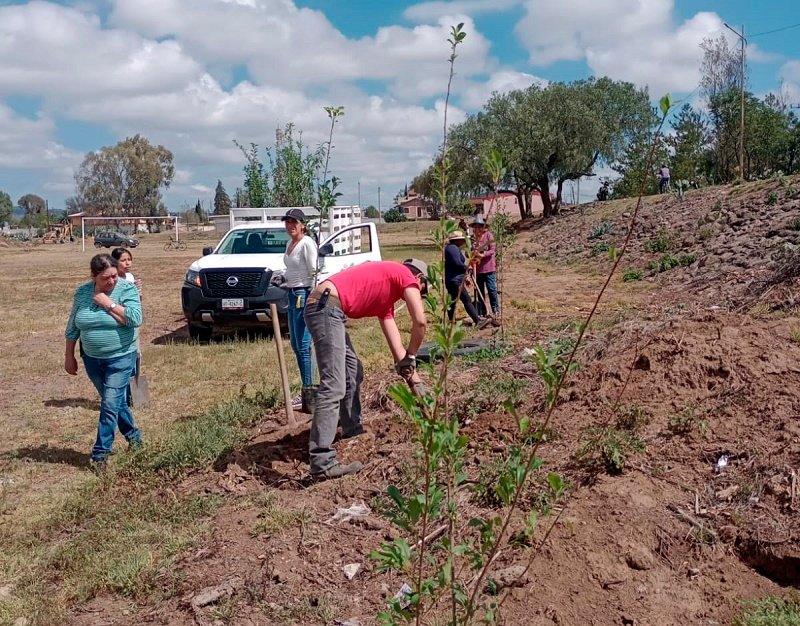 Este Sábado Realizarán Reforestación En Sendero Municipal De Tulancingo