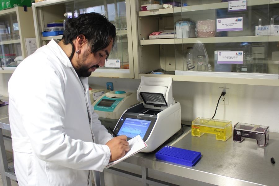 Estudiantes del Doctorado en Ciencias en Biotecnología de la UPP Realizan Aportes a la Salud y a la Agricultura