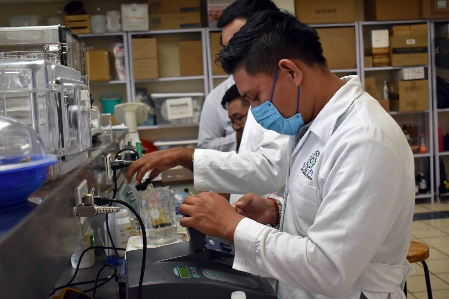 Itesa Recibe a 64 Jóvenes Investigadoras (es) de Estados de México en Modalidad Presencial y Virtual.