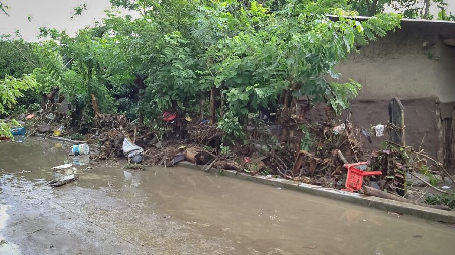 SSH Exhorta a Cuidar Higiene de Agua y Alimentos Para Evitar la Leptospirosis