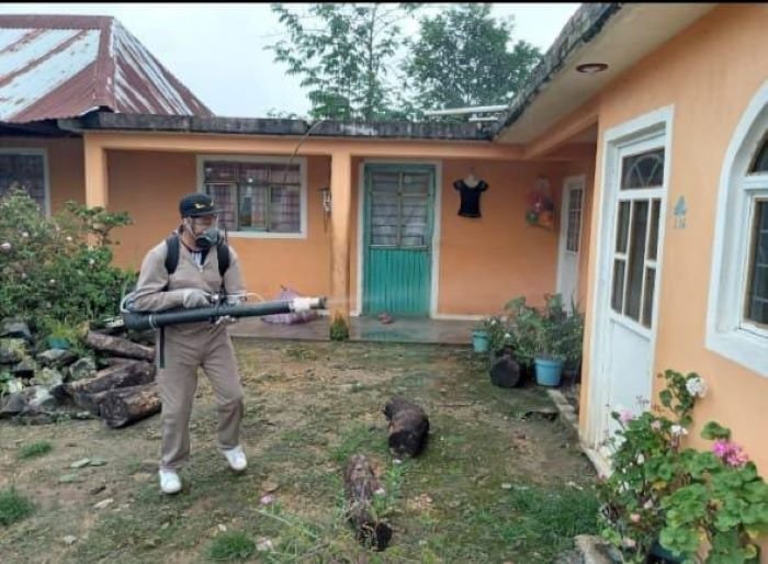 Hidalgo Registra 6 Casos de Dengue No Grave