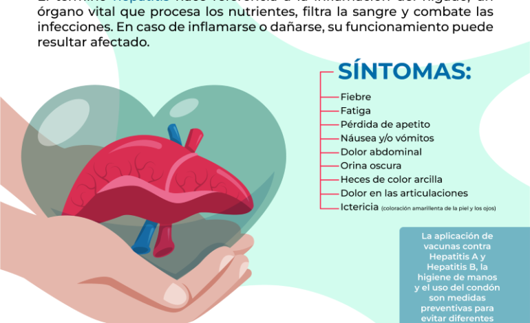 Informa IMSS Hidalgo Sobre Causas y Consecuencias Que Provoca Enfermedad de Hepatitis