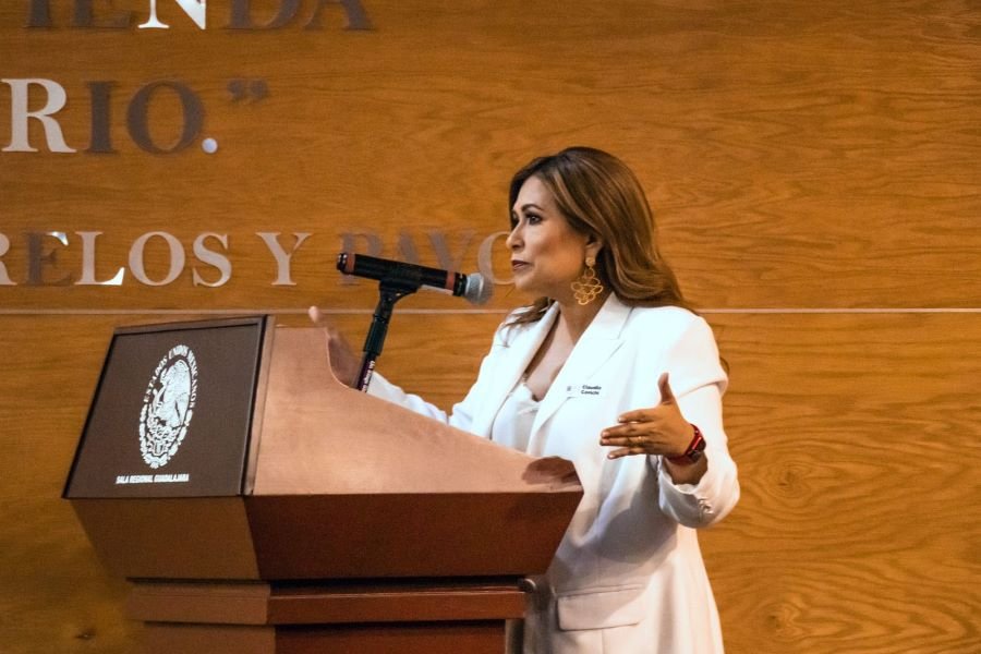 “Arrancan Cursos de Capacitación INE y la Colectiva Nacional 50+1”