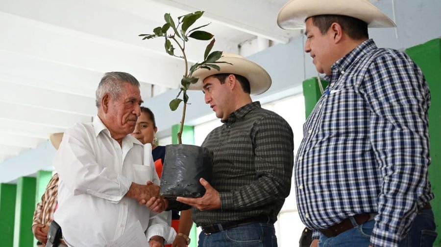 Entregó Saderh Más De 36 Mil Árboles Frutales En Beneficio de 58 productores