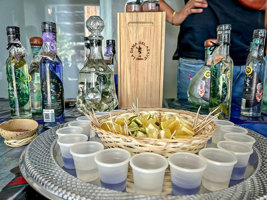 Presentan autoridades y organizadores, “Festival Mezcal, Queso y Vino” de Huasca de Ocampo
