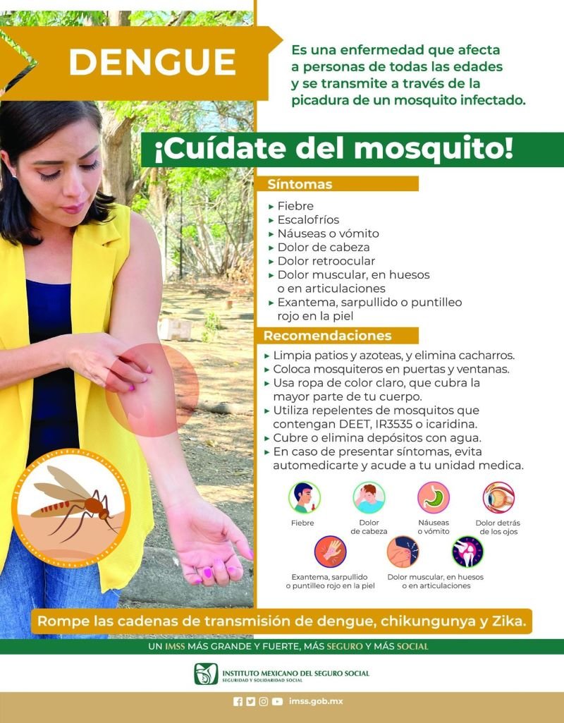 Previene IMSS Hidalgo por picadura del mosquito del Dengue.