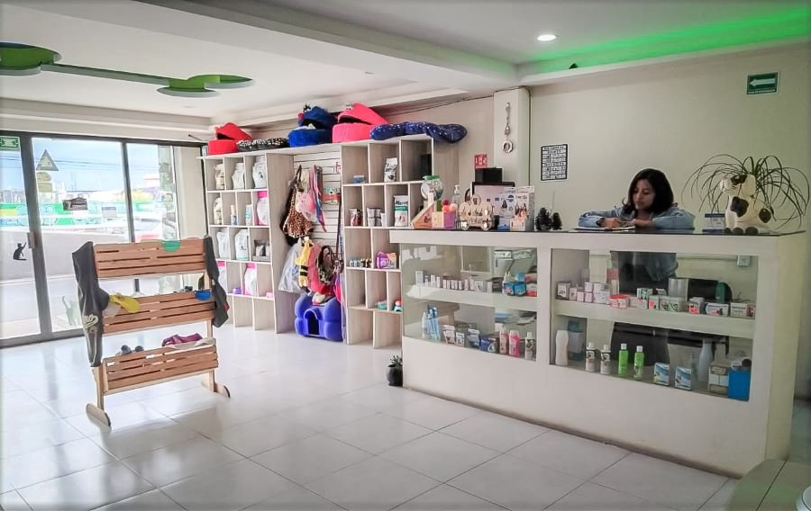 Promueve Sedeco Ventas Online, En Plataforma Consume Hidalgo