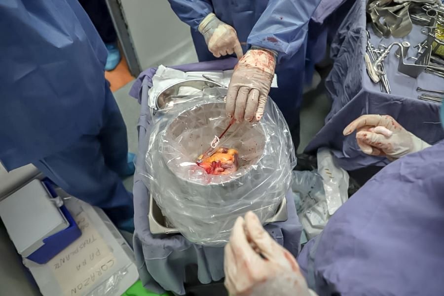 Fortalece SSH Acciones Para Fomentar Cultura de Donación de Órganos y Tejidos