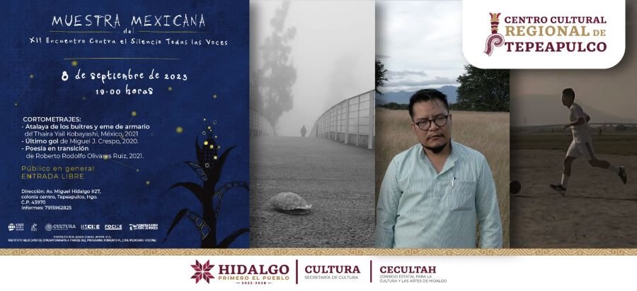 Llegará Muestra de Cine Mexicano Gratuita a Tepeapulco