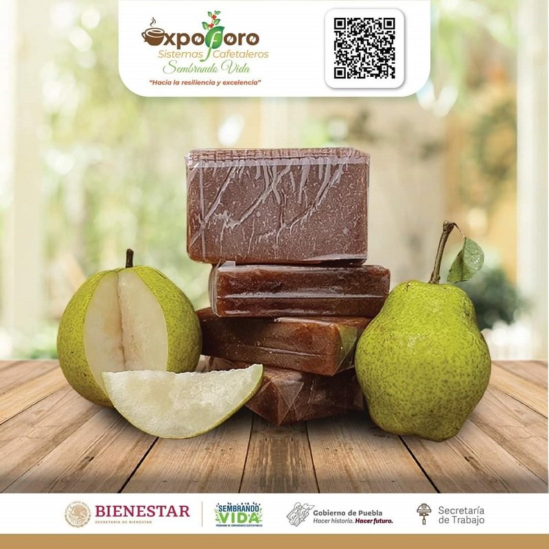 Expo Foro Sistemas Cafetaleros Sembrando VIDA del 24 al 26 de Octubre, en Puebla