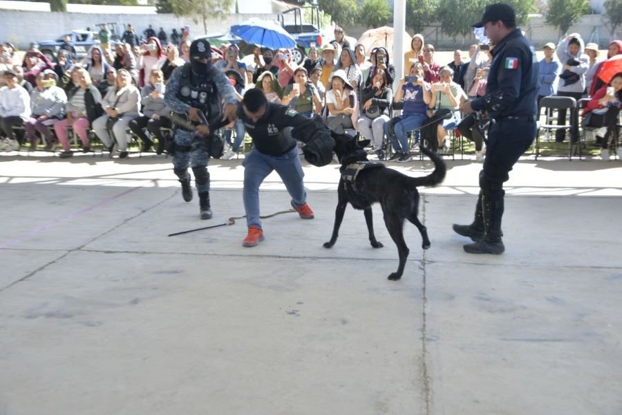 Ferias de Seguridad Visitarán Dos Escuelas de Tulancingo, Por Semana