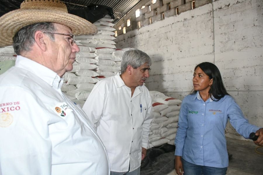 Hidalgo, en Los Primeros Lugares de Entrega del Programa Fertilizantes Para el Bienestar