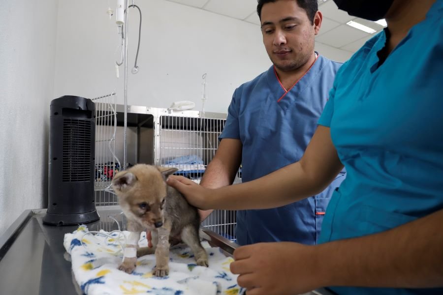 Jóvenes Pueden Cursar Diversas Áreas de Conocimiento en UAEH