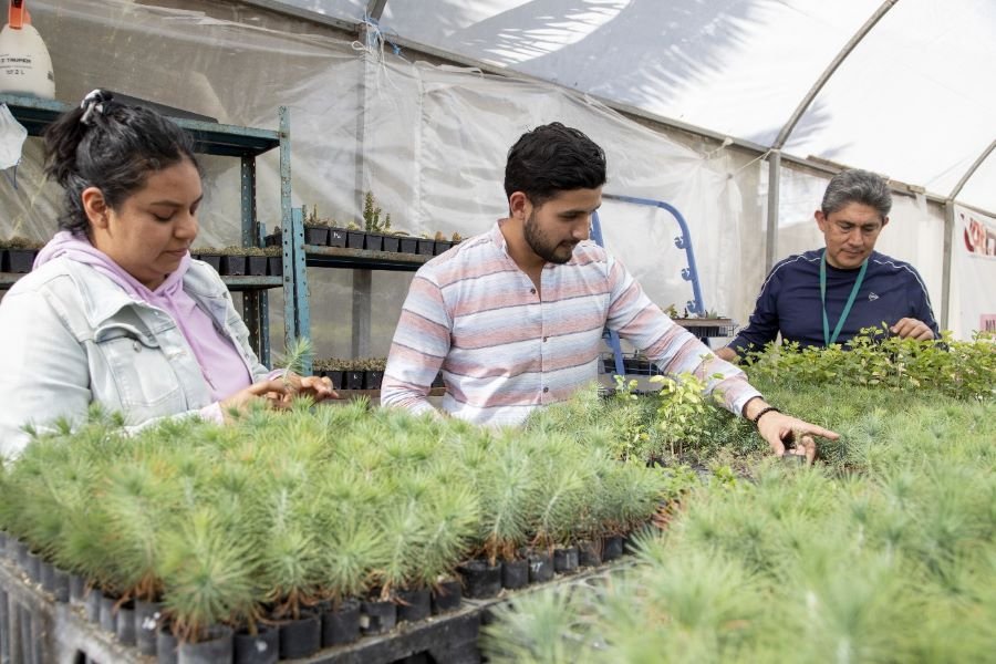 Licenciaturas Innovadoras en UAEH: Soluciones Para Las Demandas Del Mañana