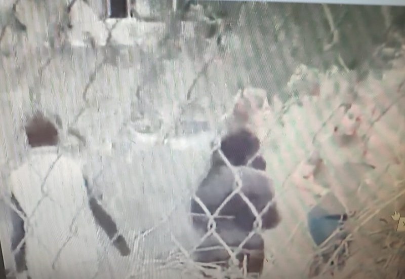 Grupos de Choque Encabezados por la Directora de la Licenciatura en Derecho, Entraron a la Fuerza a la Escuela Superior de Actopan de la UAEH