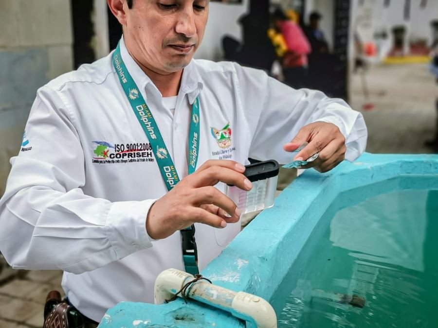 Copriseh Implementa Operativo Por Las Festividades de Día de Muertos