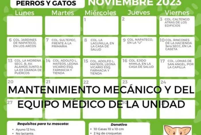 Dirección de Sanidad de Tulancingo Emite Calendario de Noviembre Para Esterilización de Perros y Gatos