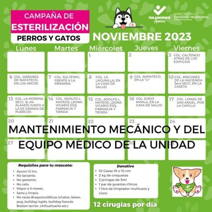 Dirección de Sanidad de Tulancingo Emite Calendario de Noviembre Para Esterilización de Perros y Gatos