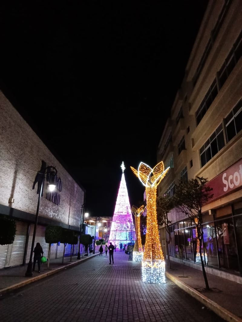 Este Jueves, Tulancingo Vivirá Un Espectacular Encendido de Árbol de Navidad