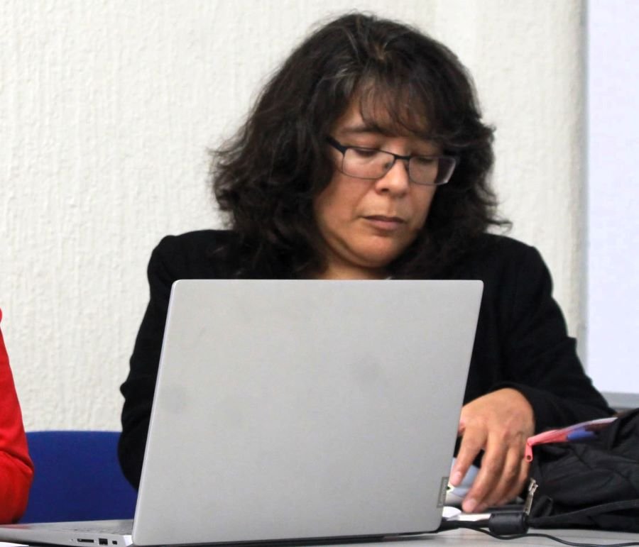 Estudios de cómic e historieta en UAEH, por consolidarse: investigadora Garza