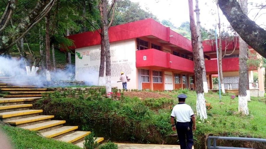 Mantiene Salud Medidas Preventivas Ante Alza de Dengue en Hidalgo