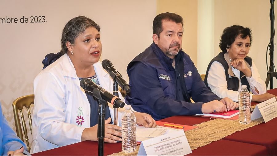 Por Iniciativa de la SSH, Estados del Centro del País Se Reúnen  Para Debatir Sobre Combate al Dengue