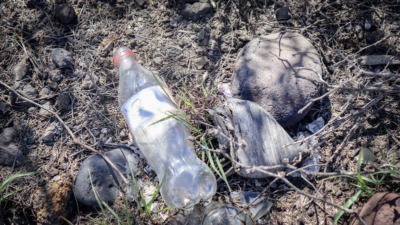 SSH Llama a Trabajar Permanente y Mantener en Ceros Los Casos de Paludismo