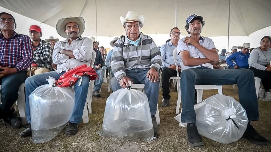 Saderh Llevó a Cabo Entrega de Crías de Peces en Diferentes Municipios