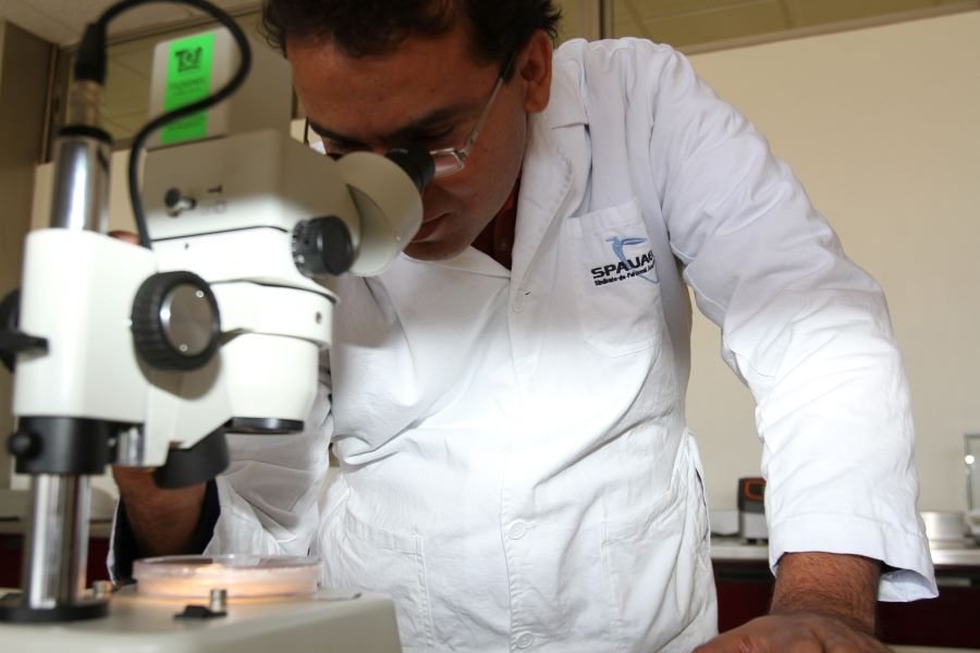 UAEH ofrece plazas para profesoras y profesores investigadores de tiempo completo