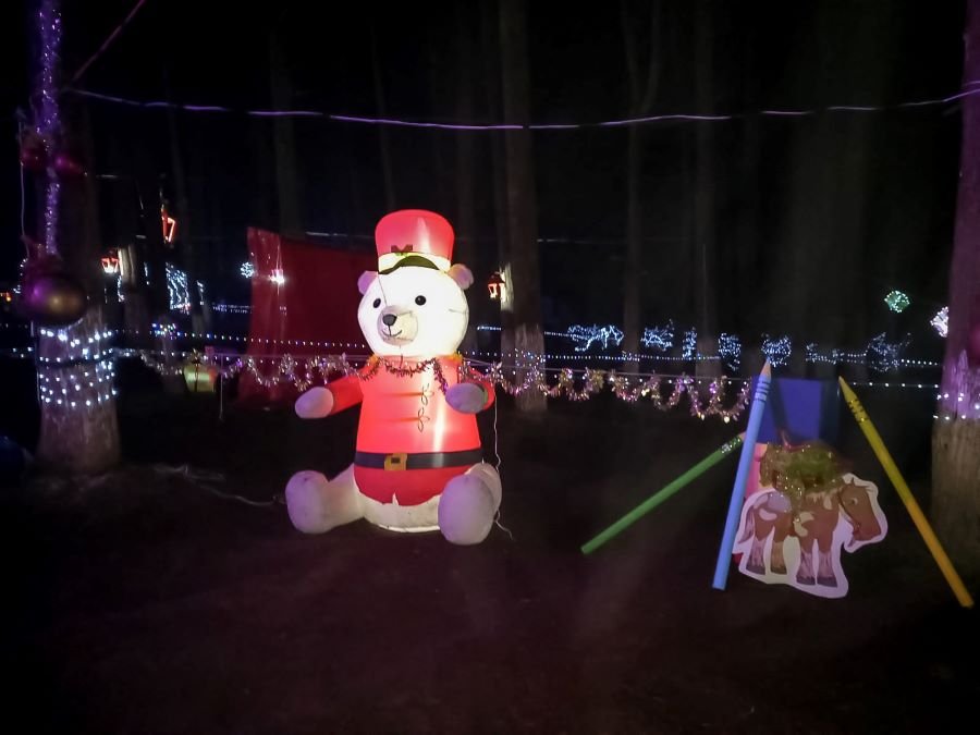 Arranca Magia Navideña en el Bosque El Cedral de Mineral del Chico