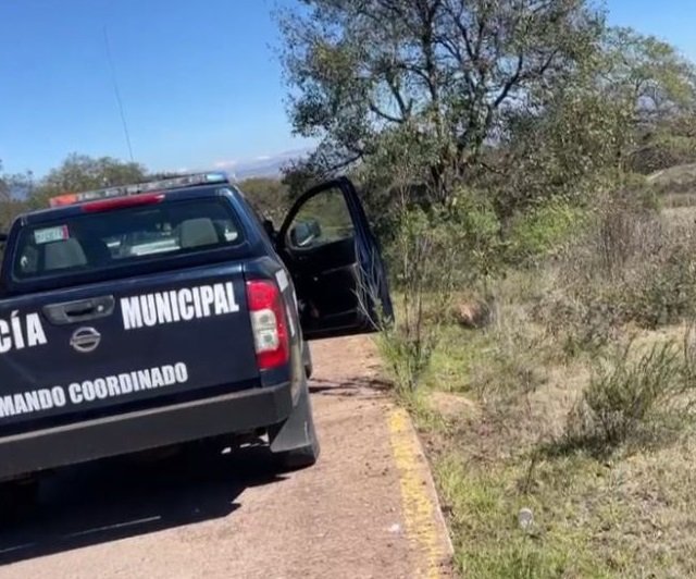 Encuentran 3 Ejecutados en el Camino de Santo Domingo y Mixquiapan, Municipio de Acatlán