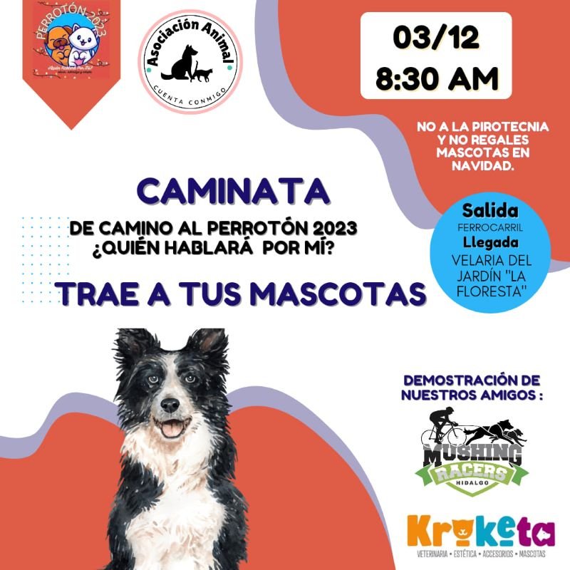 Este Domingo Séptima Edición del Perrotón en Velaria de La Floresta