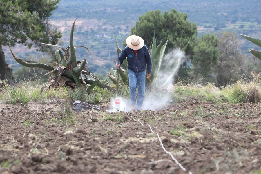 Experimenta Semarnath Uso de Biosólidos en Zonas Agrícolas de Hidalgo