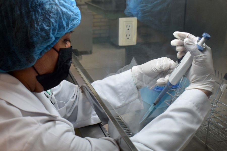 Investigadora de Industrias Alimentarias del Itesa Patenta Un Probiótico Para el Crecimiento de Los Pollos