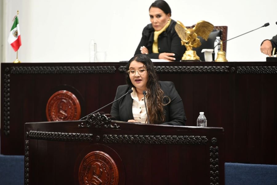 Diputada Propone Incrementar la Representación de Jóvenes en Cargos de Elección Popular