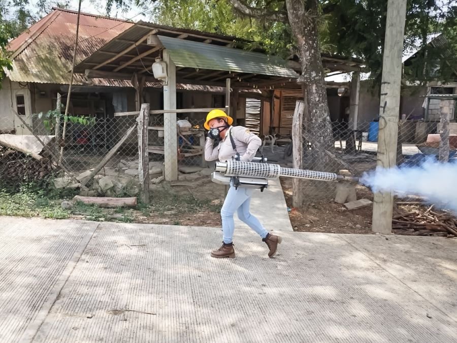 Pide SSH Fortalecer Medidas de Contención Por Dengue